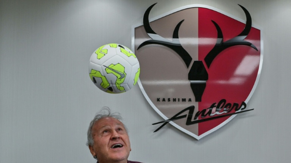 Zico says Ancelotti just the man to take Brazil back to the top