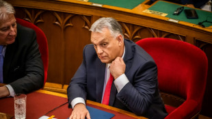 Orb&aacute;n anuncia que no ocupar&aacute; un esca&ntilde;o en el Parlamento de Hungr&iacute;a