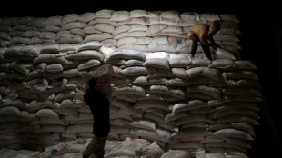 El gobierno de Etiop&iacute;a declara una "tregua humanitaria indefinida"