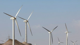 L'hydrog&egrave;ne vert rebat les cartes de l'&eacute;nergie mondiale avec l'Afrique du Nord en pointe