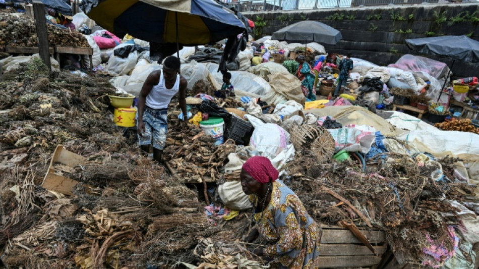 La OMS busca dar una base cient&iacute;fica a la medicina tradicional