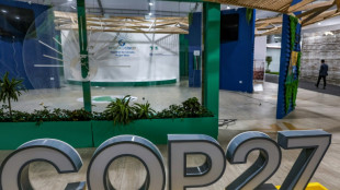 COP27: "encore un long chemin" apr&egrave;s l'accord sur le climat, estime P&eacute;kin