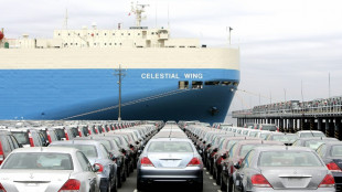 Japan says US tariffs 'extremely regrettable', may break WTO rules