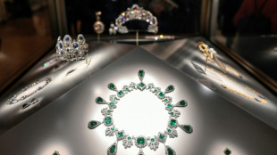 Cinco novos detidos na França pelo roubo no Louvre