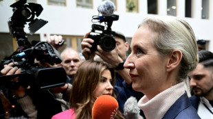 Allemagne : l'extr&ecirc;me droite veut devenir la premi&egrave;re force politique