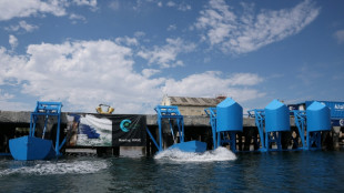 Produire de l'électricité grâce aux vagues, un rêve qui devient réalité à Los Angeles