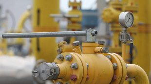 Il gas scivola (-3%) a 54 euro al Megawattora, piatto il petrolio
