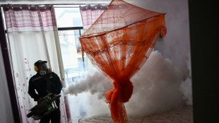 M&aacute;s de 440 muertos por dengue desde enero en Per&uacute;, su peor cifra en d&eacute;cadas