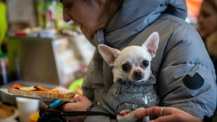 Tierschutzbund fordert Ausnahmeregelungen f&uuml;r Haustiere ukrainischer Fl&uuml;chtlinge