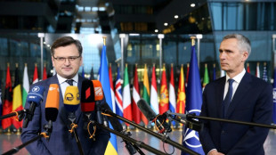 Ucrania pide m&aacute;s armas a los pa&iacute;ses de la OTAN