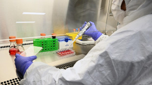 Prima alleanza aziende farmaceutiche per inclusivit&agrave; LGBT+ RPT