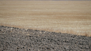 Spaniens Regierung bewilligt mehr als zwei Milliarden Euro für Kampf gegen Dürre