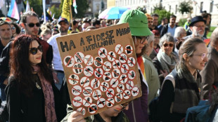 Miles de personas desaf&iacute;an en Hungr&iacute;a la prohibici&oacute;n de una marcha del orgullo