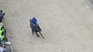 Palio Siena, vince la contrada del Nicchio