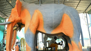 En Inde, l'&eacute;l&eacute;phant-m&eacute;canique au secours du bien-&ecirc;tre animal 