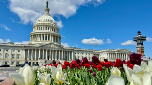 US House votes to limit judges' injunction power