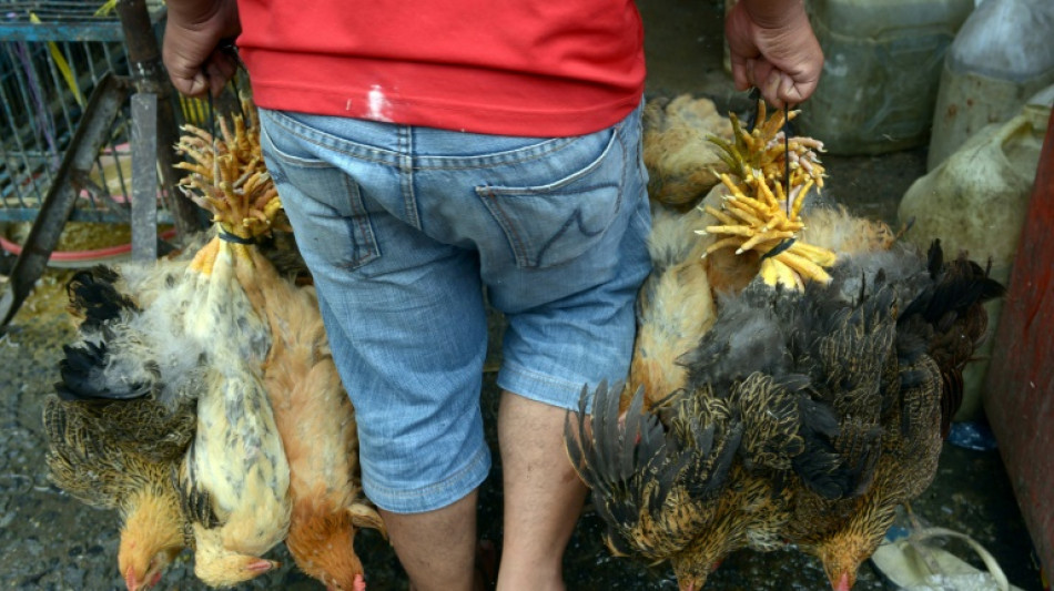 Padre de la ni&ntilde;a fallecida en Camboya por gripe aviar da positivo en virus