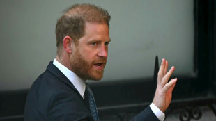 Prince Harry in court to challenge 'unjustified' UK security downgrade
