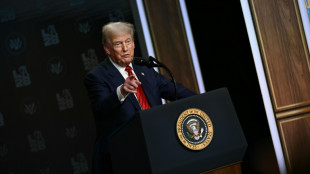 Trump's 'dividend' promise for Americans leaves open questions