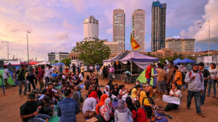 En busca de recursos, Sri Lanka vender&aacute; visas de residencia y trabajo