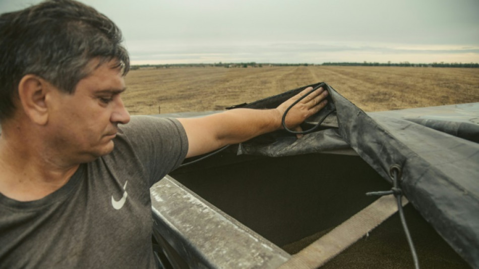 Cargo ship exits Ukraine port despite threat from Russian navy