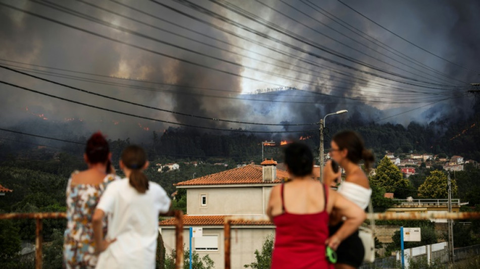 Le Portugal lutte contre plusieurs feux de forêt