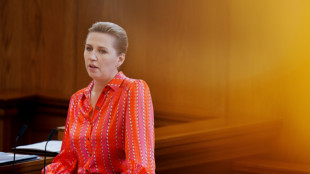 D&auml;nische Regierungschefin h&auml;lt teilweise von ChatGPT geschriebene Parlamentsrede