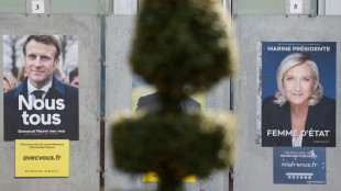 Pr&eacute;sidentielle: duel &agrave; distance Macron Le Pen sur les retraites et les institutions