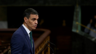 S&aacute;nchez anuncia un plan para propulsar la industria espa&ntilde;ola de defensa