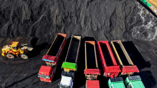 Nuevos proyectos de carb&oacute;n amenazan los objetivos clim&aacute;ticos de China, seg&uacute;n un informe