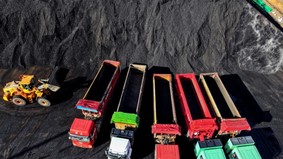 Studie: Ausbau von Kohlekraftwerken gef&auml;hrdet Chinas Klimaziele