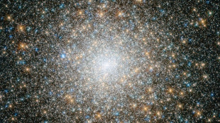 Les premiers amas d'&eacute;toiles ont aid&eacute; &agrave; fa&ccedil;onner les galaxies &agrave; l'aube cosmique