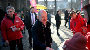 L'Allemagne sous tension &agrave; la veille d'un scrutin crucial pour l'Europe