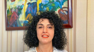 La prix Nobel Narges Mohammadi arrêtée en Iran, selon son comité de soutien
