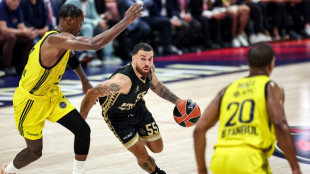 Basket: Mike James court toujours apr&egrave;s le Graal