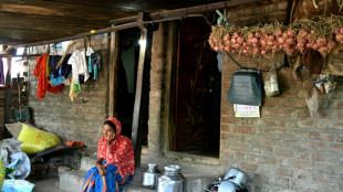 Climate change heightens risk of Indian farmer suicides