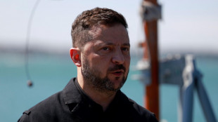 Zelensky, 'colpite due raffinerie in Russia e navi nel Mar Nero'