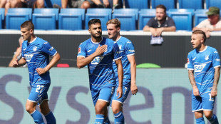 Premierensieg f&uuml;r Breitenreiter: Hoffenheim schl&auml;gt Bochum