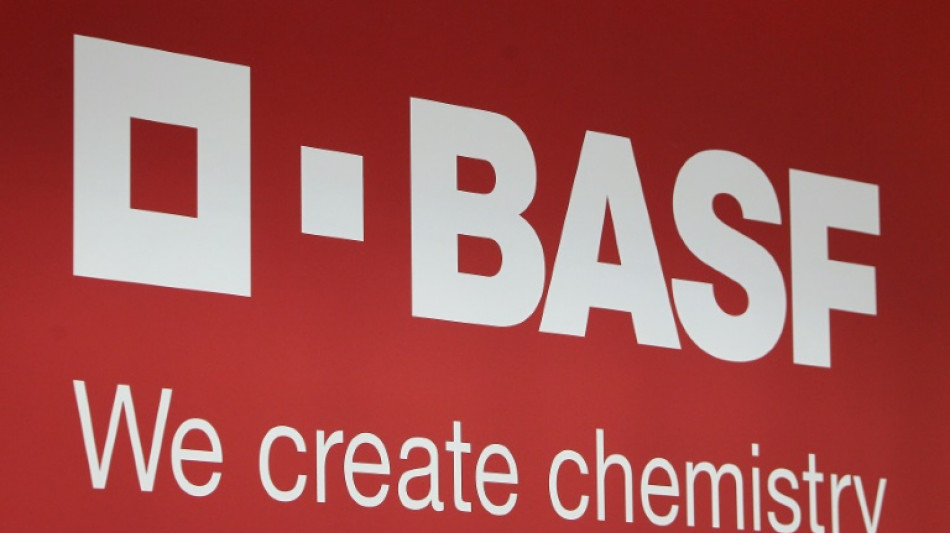 BASF &uuml;bertr&auml;gt Lacksparte an US-Unternehmen Carlyle