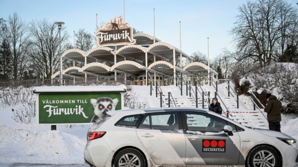 Un zool&oacute;gico sueco mata a varios chimpanc&eacute;s en fuga