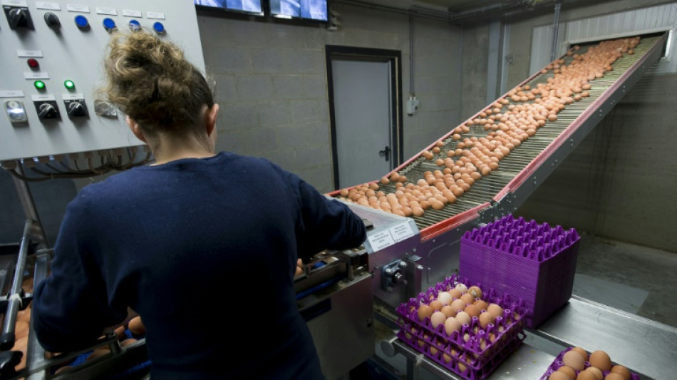 Cheffes d'entreprises : pas de parit&eacute; avant 2075, estime la Banque de France