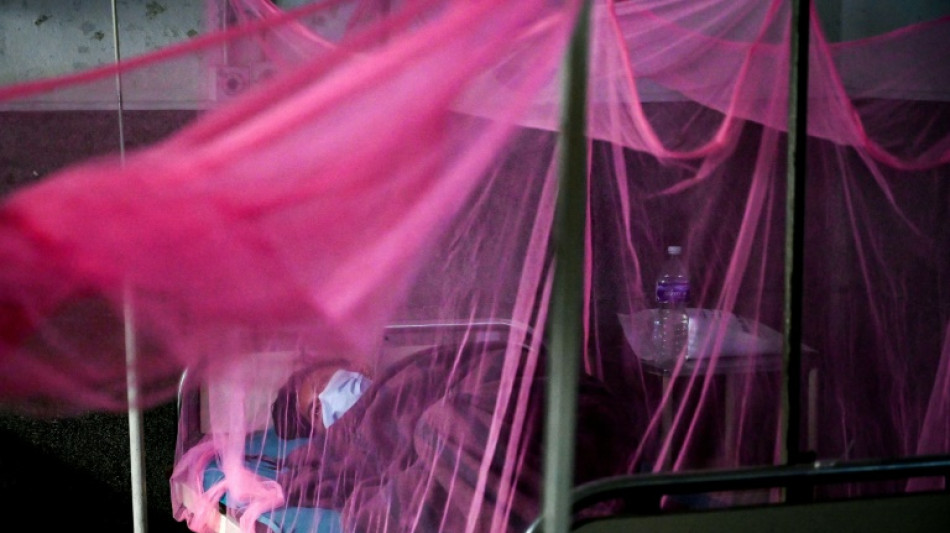 Au N&eacute;pal, l'inqui&eacute;tante r&eacute;apparition de la dengue