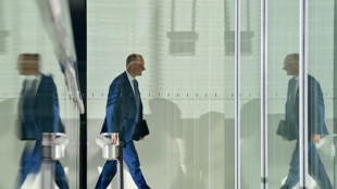 Feu vert des d&eacute;put&eacute;s au "bazooka" budg&eacute;taire pour r&eacute;armer l'Allemagne