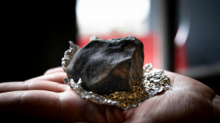 Un asteroide pudo ser rastreado en Francia gracias a la ciencia participativa