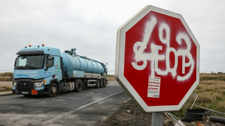 Europarat kritisiert franz&ouml;sischen Verfassungsartikel 49.3