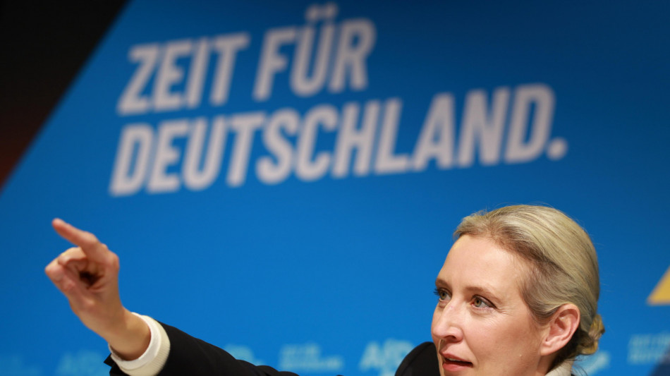 Weidel, 'il messaggio sar&agrave; chiaro, frontiere Germania blindate!'