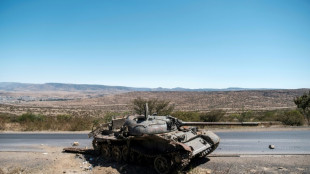 Ethiopie: le Tigr&eacute; th&eacute;&acirc;tre de "nettoyage ethnique" et "crimes de guerre", selon deux ONG