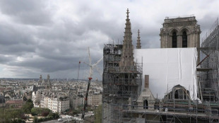 Notre-Dame: 5 ans apr&egrave;s l'incendie, les principaux d&eacute;fis de la reconstruction relev&eacute;s