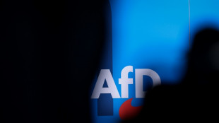 Kubicki warnt vor Finanz-Streichung f&uuml;r AfD: S&ouml;ders Vorsto&szlig; "hochproblematisch" 