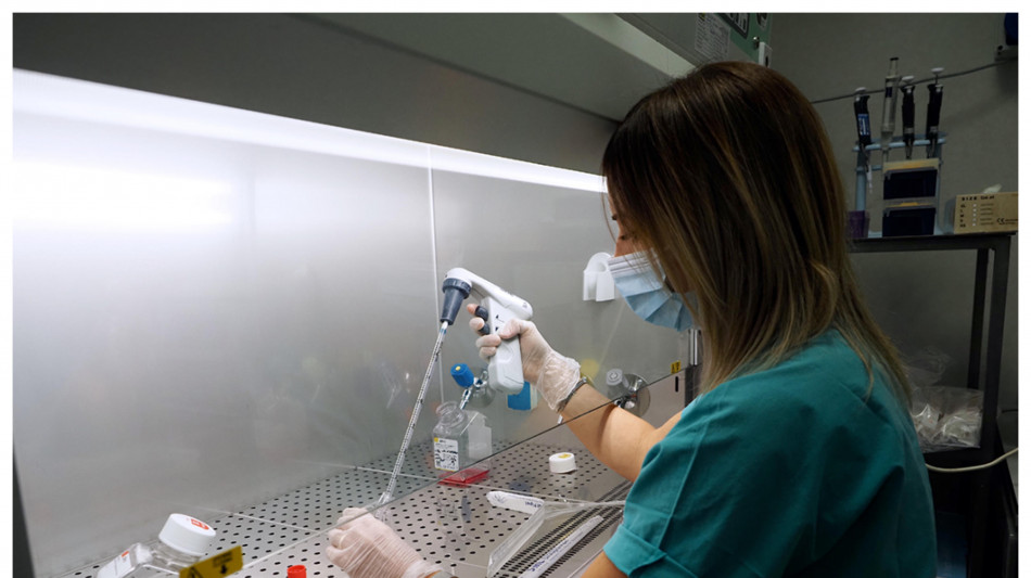 Vaiolo scimmie, carica virale alta legata a maggiore gravit&agrave;